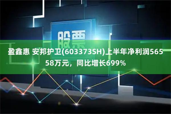 盈鑫惠 安邦护卫(603373SH)上半年净利润56558万元，同比增长699%