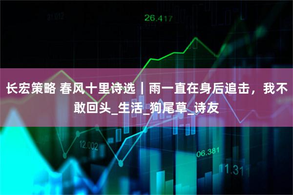 长宏策略 春风十里诗选|雨一直在身后追击,我不敢回头_生活_狗尾草_诗友